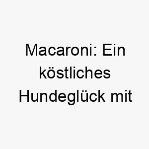 macaroni ein koestliches hundeglueck mit lockigem charme 22815