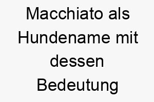 macchiato als hundename mit dessen bedeutung 16693