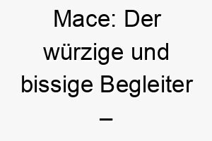 mace der wuerzige und bissige begleiter gewuerz oder waffe ein name voller energie 22890