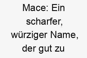 mace ein scharfer wuerziger name der gut zu einem kleinen feurigen hund passt 22391