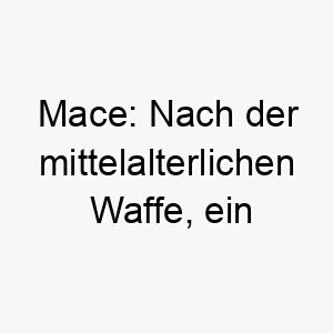 mace nach der mittelalterlichen waffe ein starker und mutiger name fuer einen tapferen hund 22687