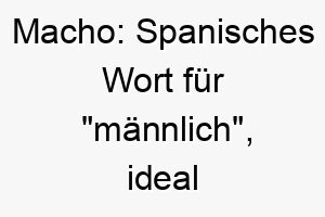 macho spanisches wort fuer maennlich ideal fuer einen stolzen und selbstbewussten hund 22436