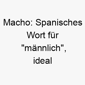 macho spanisches wort fuer maennlich ideal fuer einen stolzen und selbstbewussten hund 22436