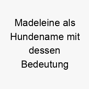 madeleine als hundename mit dessen bedeutung 16594