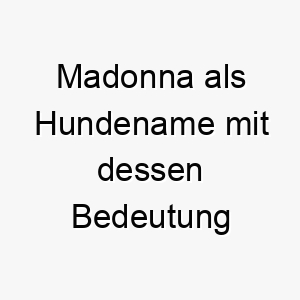 madonna als hundename mit dessen bedeutung 16358