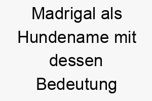 madrigal als hundename mit dessen bedeutung 16836