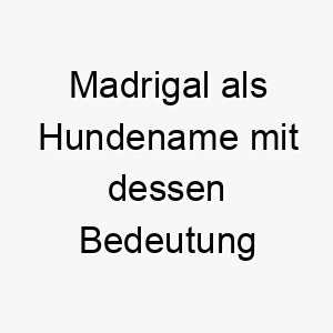 madrigal als hundename mit dessen bedeutung 16836