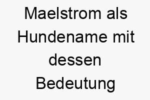 maelstrom als hundename mit dessen bedeutung 2 16746