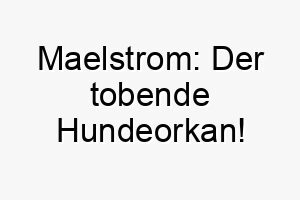 maelstrom der tobende hundeorkan 22831