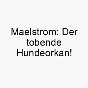 maelstrom der tobende hundeorkan 22831