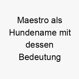 maestro als hundename mit dessen bedeutung 16614