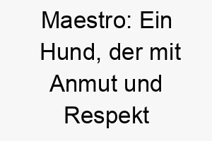 maestro ein hund der mit anmut und respekt seine aussergewoehnliche meisterschaft beweist 22895