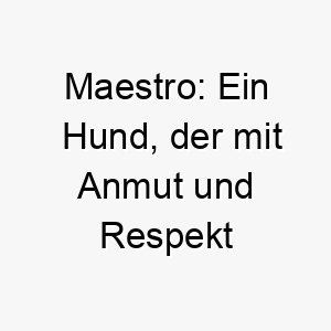 maestro ein hund der mit anmut und respekt seine aussergewoehnliche meisterschaft beweist 22895