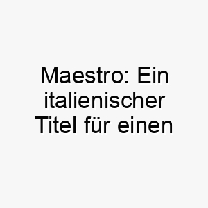 maestro ein italienischer titel fuer einen meister oder lehrer ein ehrfurchtgebietender und respektvoller name fuer einen klugen oder talentierten hund 22706