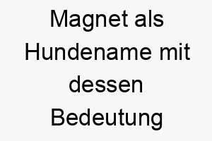 magnet als hundename mit dessen bedeutung 16767