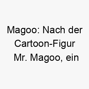 magoo nach der cartoon figur mr magoo ein lustiger name fuer einen ungeschickten oder kurzsichtigen hund 22420