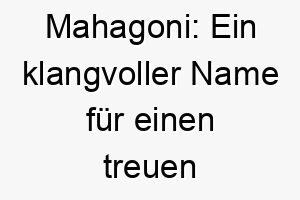 mahagoni ein klangvoller name fuer einen treuen gefaehrten 22830