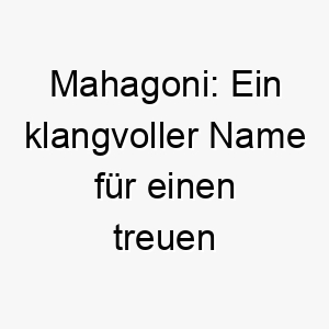 mahagoni ein klangvoller name fuer einen treuen gefaehrten 22830