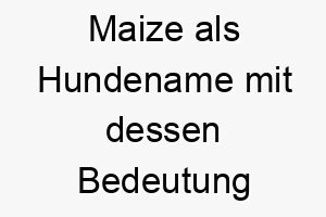 maize als hundename mit dessen bedeutung 16359