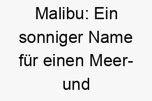 malibu ein sonniger name fuer einen meer und sonnenliebhaber hund 22868