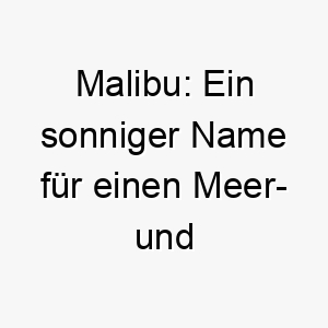 malibu ein sonniger name fuer einen meer und sonnenliebhaber hund 22868