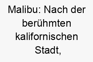 malibu nach der beruehmten kalifornischen stadt perfekt fuer einen hund der das meer und den strand liebt 22479