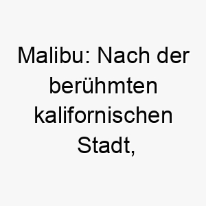 malibu nach der beruehmten kalifornischen stadt perfekt fuer einen hund der das meer und den strand liebt 22479