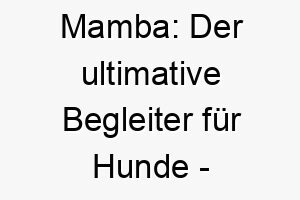 mamba der ultimative begleiter fuer hunde blitzschnell und gefaehrlich 22841