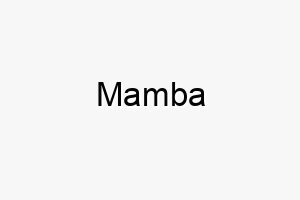 mamba 16319