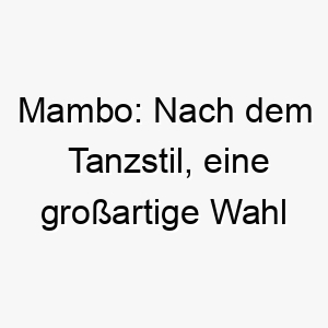 mambo nach dem tanzstil eine grossartige wahl fuer einen hund mit rhythmus und energie 22418