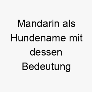 mandarin als hundename mit dessen bedeutung 16505