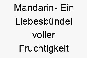 mandarin ein liebesbuendel voller fruchtigkeit und lebensfreude 22809