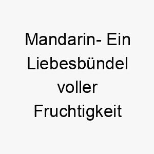 mandarin ein liebesbuendel voller fruchtigkeit und lebensfreude 22809