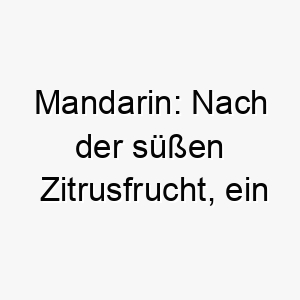 mandarin nach der suessen zitrusfrucht ein suesser und fruchtiger name fuer einen kleinen lebhaften hund 2 22695