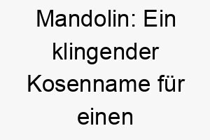 mandolin ein klingender kosenname fuer einen musikalischen vierbeiner voller harmonie 22864