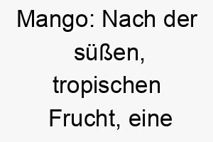 mango nach der suessen tropischen frucht eine schoene wahl fuer einen hund mit einer suessen persoenlichkeit oder einem farbenfrohen fell 22429