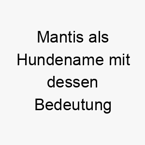 mantis als hundename mit dessen bedeutung 16835