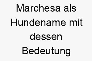 marchesa als hundename mit dessen bedeutung 16611