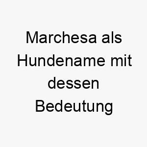 marchesa als hundename mit dessen bedeutung 16611