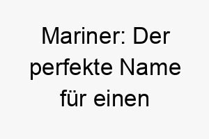 mariner der perfekte name fuer einen wasserliebenden seelenverwandten 22818