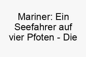 mariner ein seefahrer auf vier pfoten die perfekte ergaenzung fuer jeden wasserverliebten hund 22828