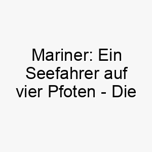 mariner ein seefahrer auf vier pfoten die perfekte ergaenzung fuer jeden wasserverliebten hund 22828