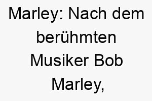 marley nach dem beruehmten musiker bob marley ein cooler und entspannter name fuer einen musikliebenden hund 22679