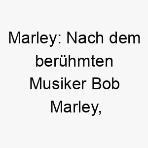 marley nach dem beruehmten musiker bob marley ein cooler und entspannter name fuer einen musikliebenden hund 22679