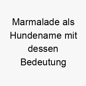 marmalade als hundename mit dessen bedeutung 16604