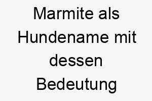 marmite als hundename mit dessen bedeutung 16595