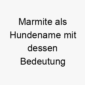 marmite als hundename mit dessen bedeutung 16595