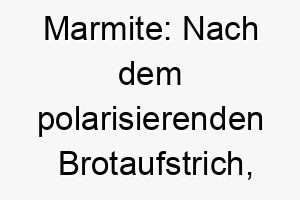 marmite nach dem polarisierenden brotaufstrich eine lustige und ungewoehnliche wahl fuer einen hund der starke reaktionen hervorruft 22433