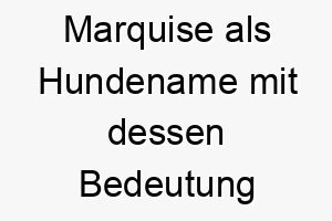 marquise als hundename mit dessen bedeutung 16615