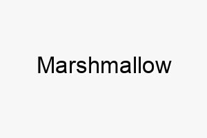 marshmallow 16198